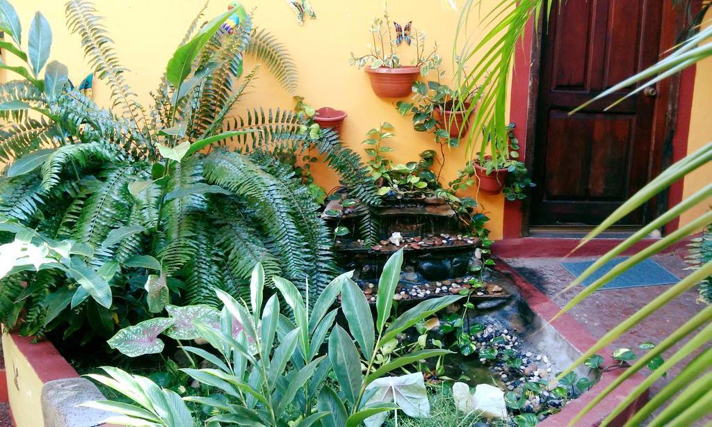 Hotel La Cabana Puerto Ángel Kültér fotó